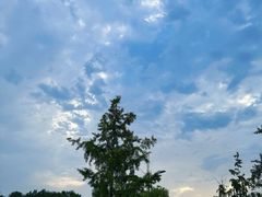 -两河城市森林公园