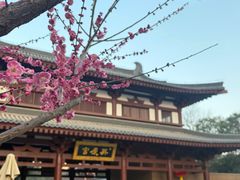 -虎卫烤肉(东关南街店)