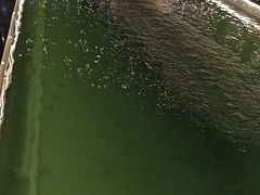 -DGE季风钓虾营地·团建·聚会