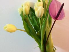 纪念品-上海鲜花港
