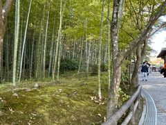 -天龙寺