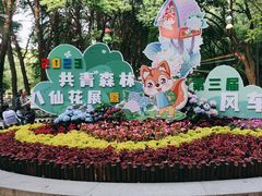 -上海共青森林公园