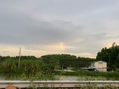 -满記土窑烧鷄波浪山莊