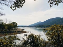 -长广溪湿地公园