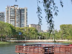 -新江湾城公园