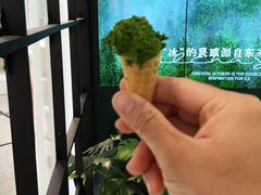 -鹤茶野所(上海首店)