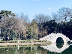-泰州凤城河风景区-泰山公园
