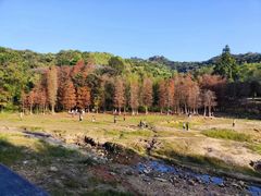 -广州市白云山风景名胜区