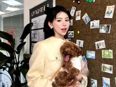 -派美特宠物医院·核磁CT·骨科肿瘤·疑难转诊(沈农禾丰店)
