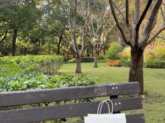 -徐家汇源景区-衡山公园