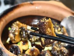 -红星光发煲仔饭(文海店)