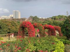 -东莞植物园
