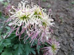 -宏善康享苑颐养中心