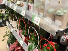 -AEON永旺(东方宝泰店)