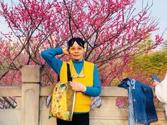 -重庆彩云湖湿地公园