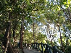 -梧桐山风景名胜区