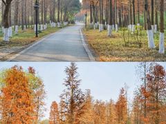 -西溪国家湿地公园