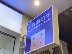 -一只酸奶牛(春熙路店)