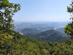 -阳台山森林公园