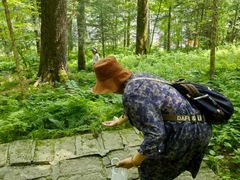 -五营红松林海景区