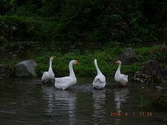 -萍乡武功山风景名胜区