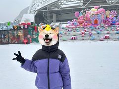 -沈阳奥体冰雪嘉年华