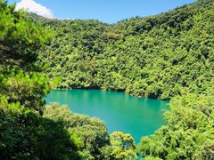 -鼎香皇高佬苏裹蒸粽