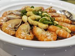 -丁老爷子苏香圆