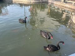 -雅达·阳羡溪山小镇中心