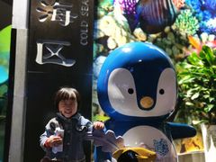 -成都浩海立方海洋公园