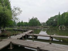 景点-白塘生态植物园