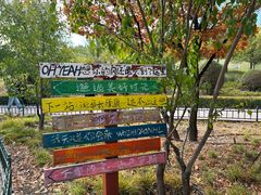 -鄂尔多斯野生动物园