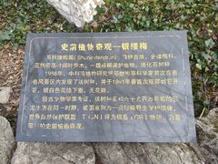 -善卷洞风景区