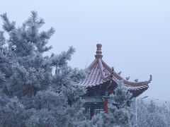 -哈尔滨热雪奇迹