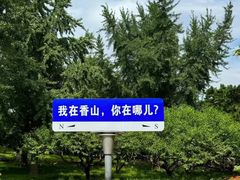-香山公园