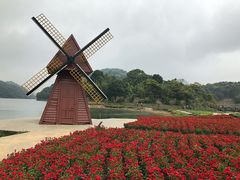 -广州市石门国家森林公园