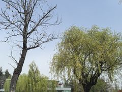 -云龙湖旅游景区