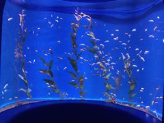 -欢乐海岸海洋奇梦馆