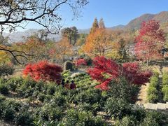 -塔川景区