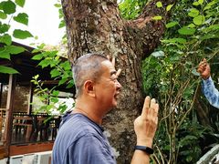 -槟城宝盛园民宿