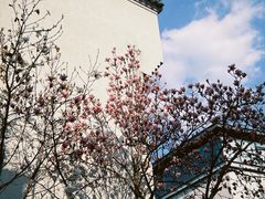-黎阳老街