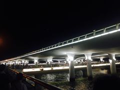 -演武大桥观景平台