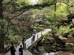 -藏龙百瀑风景区