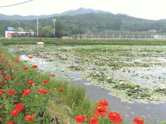 -大连步云山老汤度假山庄