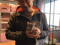 -藦茜花园宠物主题亲子互动体验馆(国顺东路店)