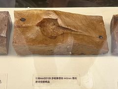 -轻武器博物馆