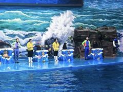 -多彩贵州城极地海洋世界