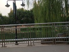 -黄村公园