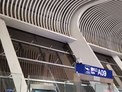 -合肥新桥国际机场-航站楼
