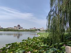 -莲花池公园